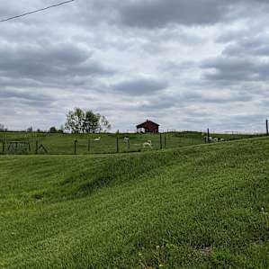 Red Barn Farm Experience RV Style