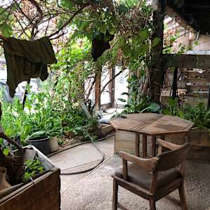 grapeartment
