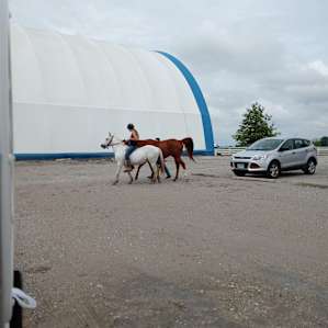 Fantastic Horse Farm