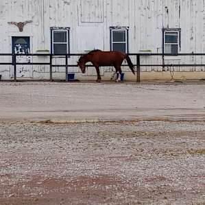 Fantastic Horse Farm