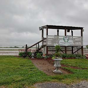 Fantastic Horse Farm