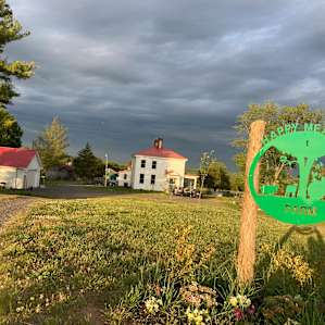 Skoolie on the Farm