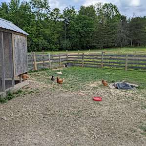 Cross Creek Farm- RV hookups