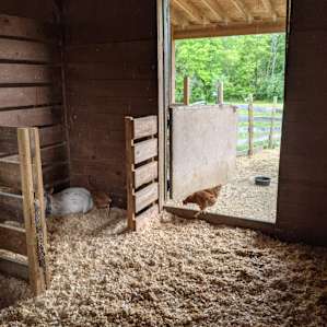 Cross Creek Farm- RV hookups