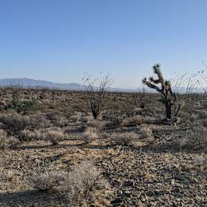 Lots of open space.
