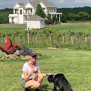 Tara Winery Vines & Views