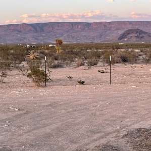 Jackass Flats Campground RVs