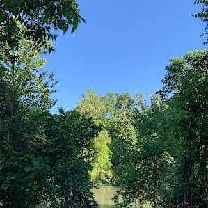 Rushing River Retreat