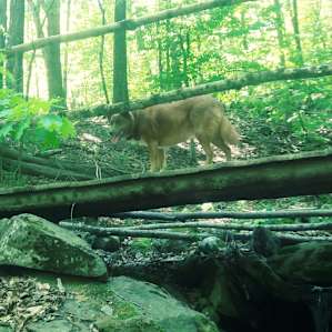 Enjoying the trails