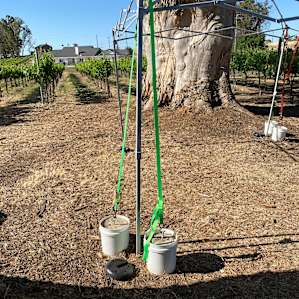 Paul installed these weights (the white ones). Mine are the black ones and were not heavy enough. This photo was taken as I was disassembling the tent.