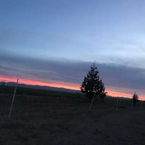 Spectacular sunsets
