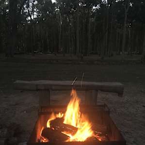 Loved the fire