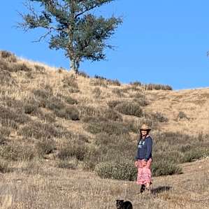 1881 Rangeland Camping