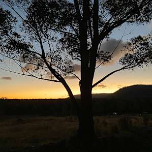 Sunsets vibes from site at the top of the property