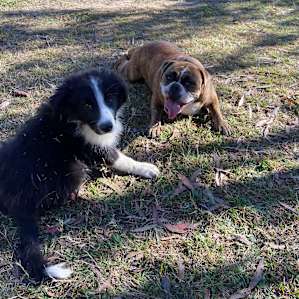 Steven & Molly quickly became BBF’s!