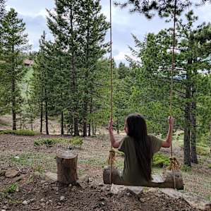 Gold Nugget Tree House