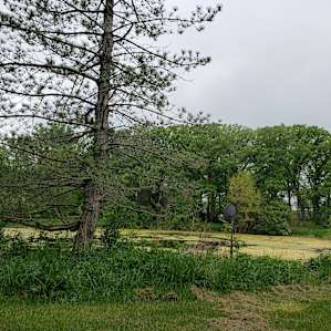 Sophie's Hidden Acres Homestead