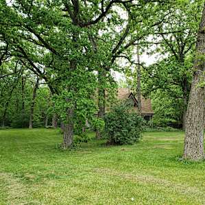 Sophie's Hidden Acres Homestead