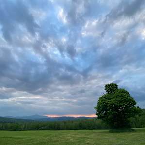 Bliss Field RV or Tent Campsite