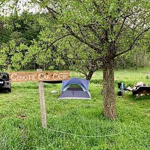 🐺 COYOTE CAR CAMP @ BEAVER HAVEN🐺