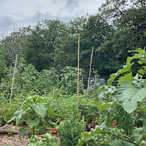 Yoga Barn at Simply Wyldwood