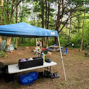 Woodsy spot #5