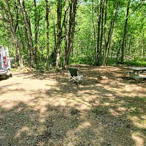 Woodsy spot #5