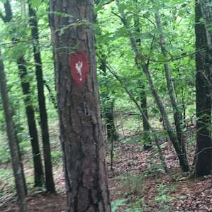 Trail marker