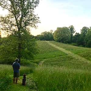 My boyfriend and our pup, Sadie, enjoying the serenity on the meadow trails.