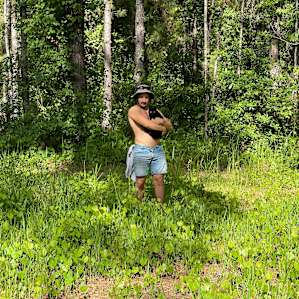 Woods on the property