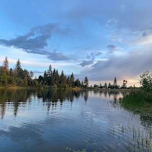 Lake view