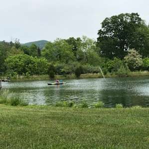 Pond