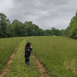 Twin Poplar Farm / In the Field