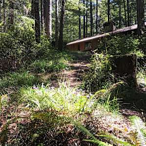 Camp 1 cabins are on a hillside