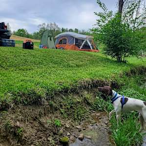 Pleasant Valley Farm Camp