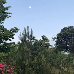 You can see the moon!
