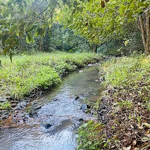 Booyong Farm - Hinterland Hideaway