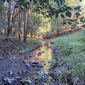 Booyong Farm - Hinterland Hideaway