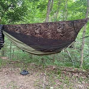 Every site has lots of hammock potential,