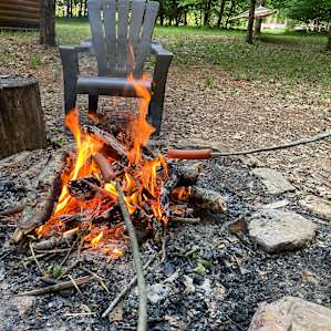 Plenty of firewood lying around