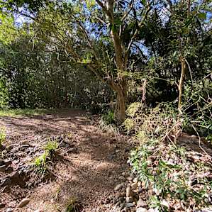 Hidden Valley Creekside Camp