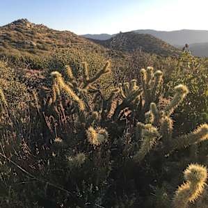 Hike up trail into the State Park