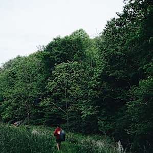 hiking dusk
