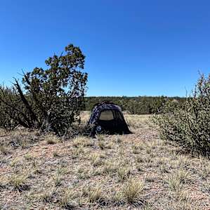 Wander Camp Grand Canyon (DRY CAMP)
