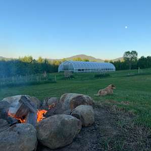 Sugar woods tent platform