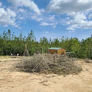 Lady May Permaculture