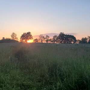 Their sunset is spectacular. The night sky beyond their property line is expansive beyond description. Even for the flatlands of mid Ohio, the view to the horizon is unobstructed and nearly unblemished by bright lights.