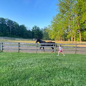 Serene Horse Farm