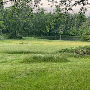 Serene Horse Farm