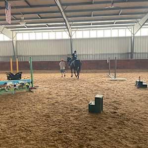 Serene Horse Farm